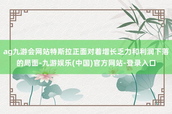 ag九游会网站特斯拉正面对着增长乏力和利润下落的局面-九游娱乐(中国)官方网站-登录入口