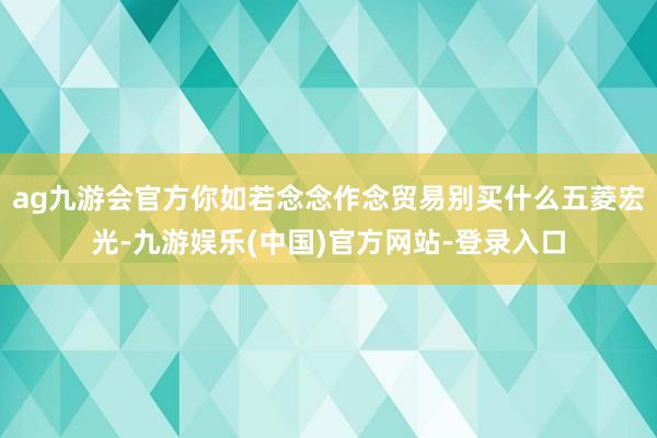 ag九游会官方你如若念念作念贸易别买什么五菱宏光-九游娱乐(中国)官方网站-登录入口