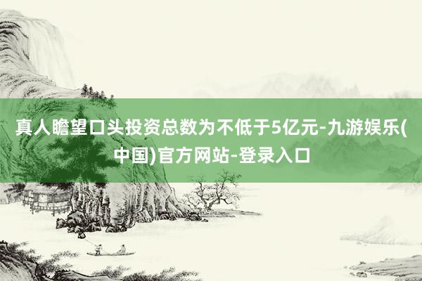 真人瞻望口头投资总数为不低于5亿元-九游娱乐(中国)官方网站-登录入口