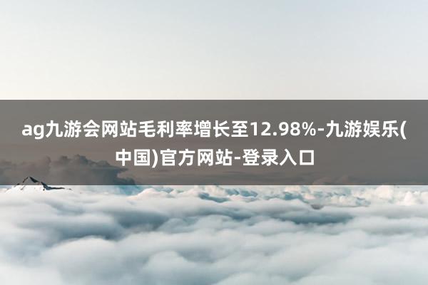 ag九游会网站毛利率增长至12.98%-九游娱乐(中国)官方网站-登录入口