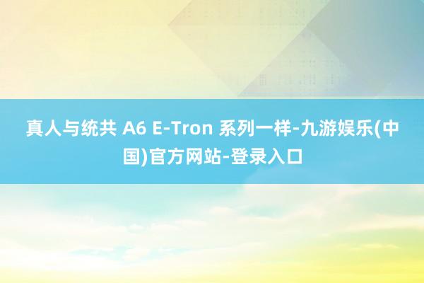 真人与统共 A6 E-Tron 系列一样-九游娱乐(中国)官方网站-登录入口